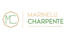 custom color logo transparent
